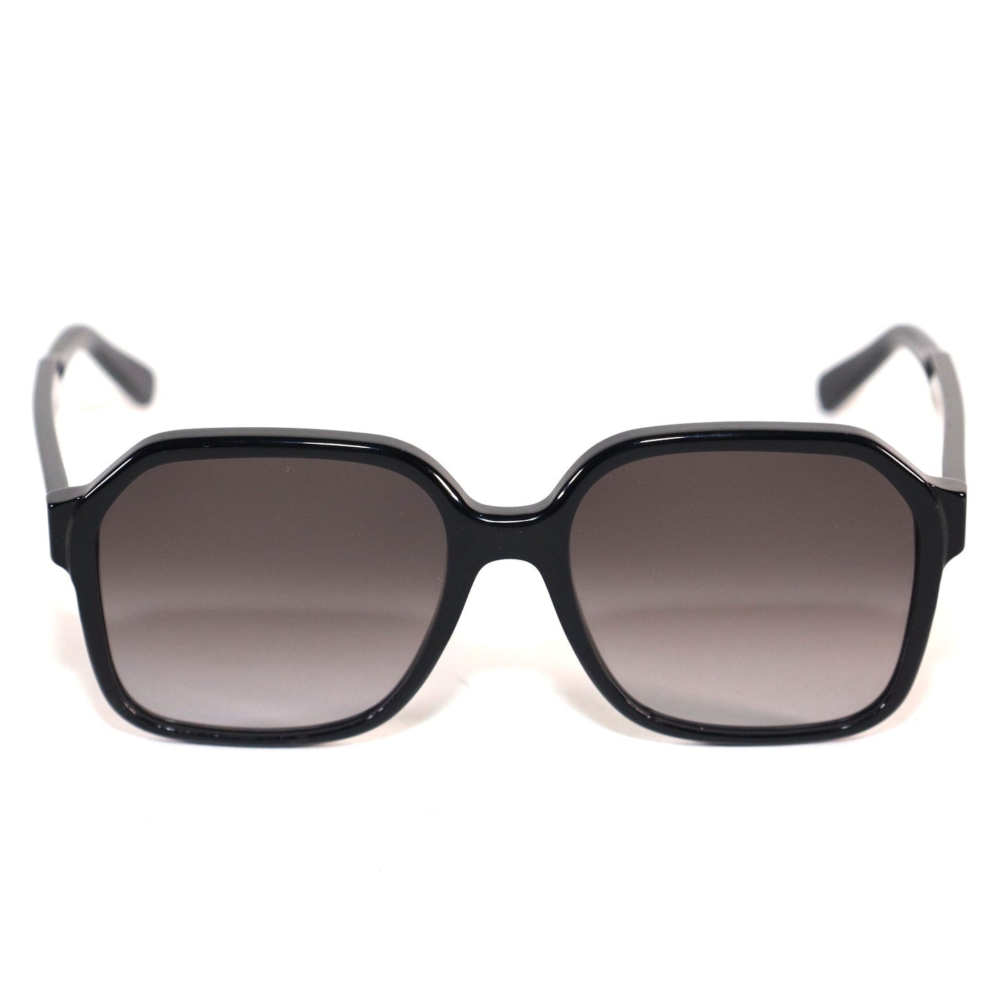 Ferragamo Square Womens Black Sunglasses - Black / Black Gradient
