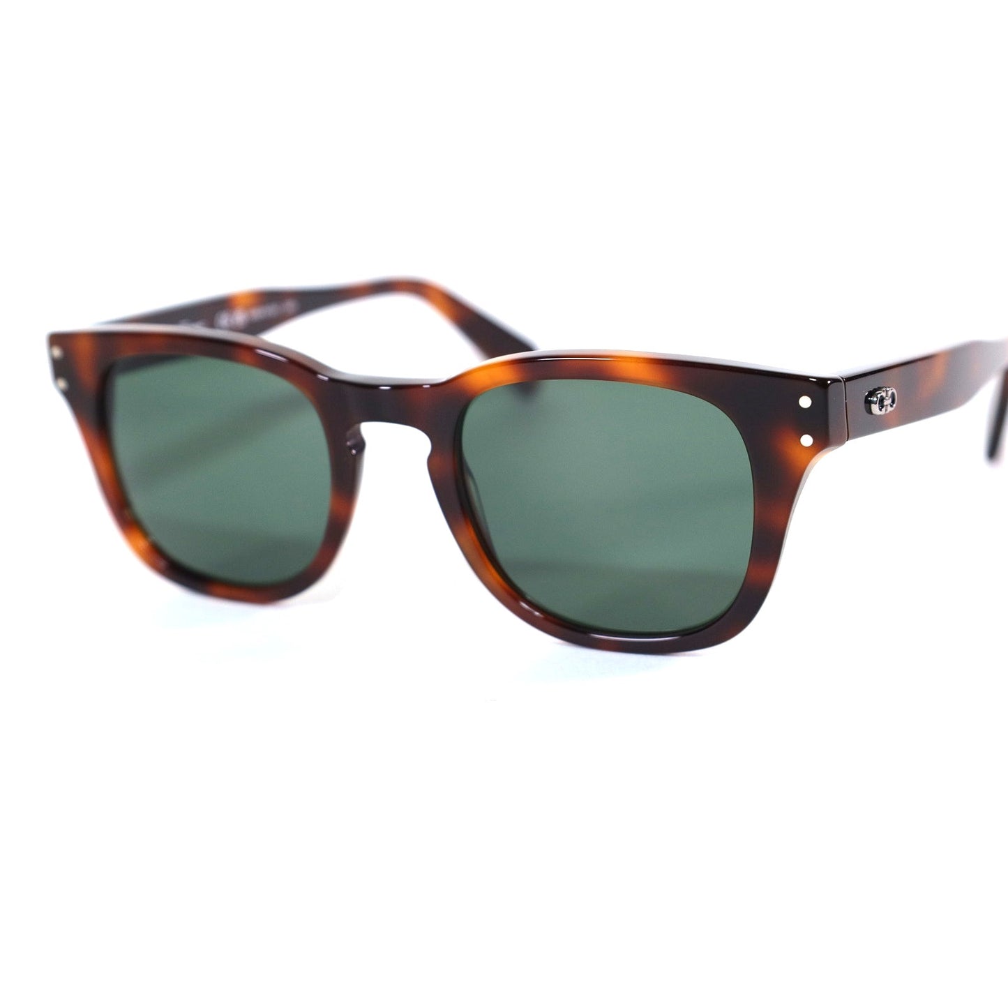 Ferragamo Rounded Square Mens Sunglasses - Tortoise/Green