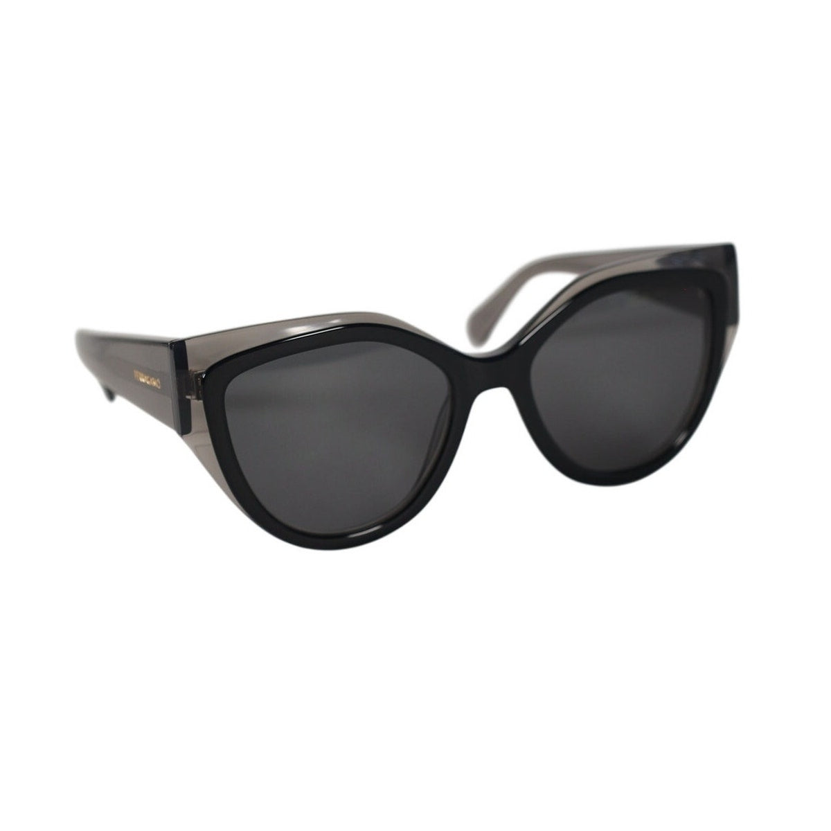 Salvatore Ferragamo Women's Cat Eye Sunglasses - Transparent Grey / Black