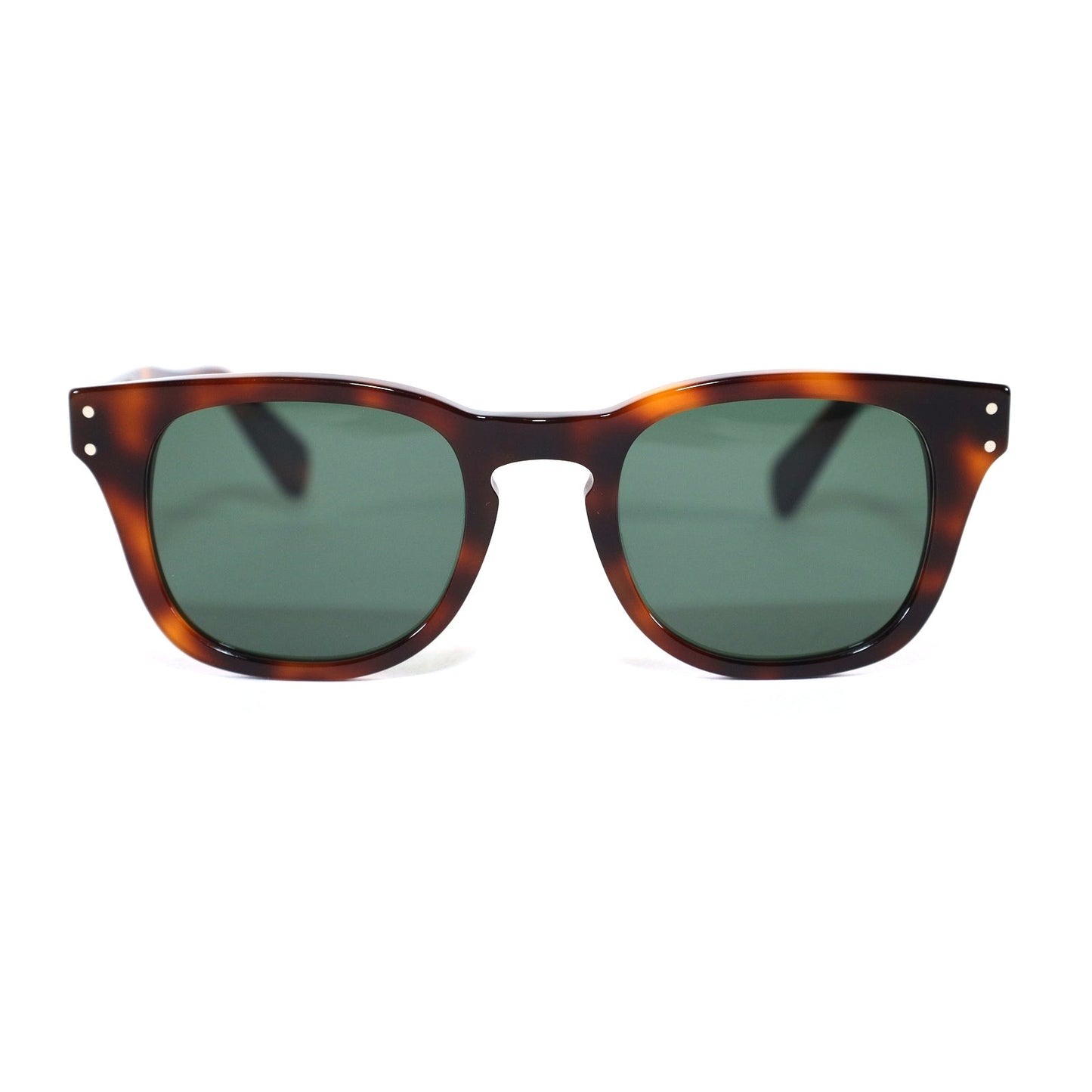Ferragamo Rounded Square Mens Sunglasses - Tortoise/Green